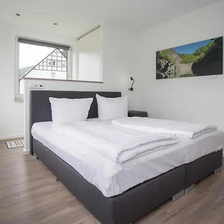 - Burgstrasse 15a-j Silbach *